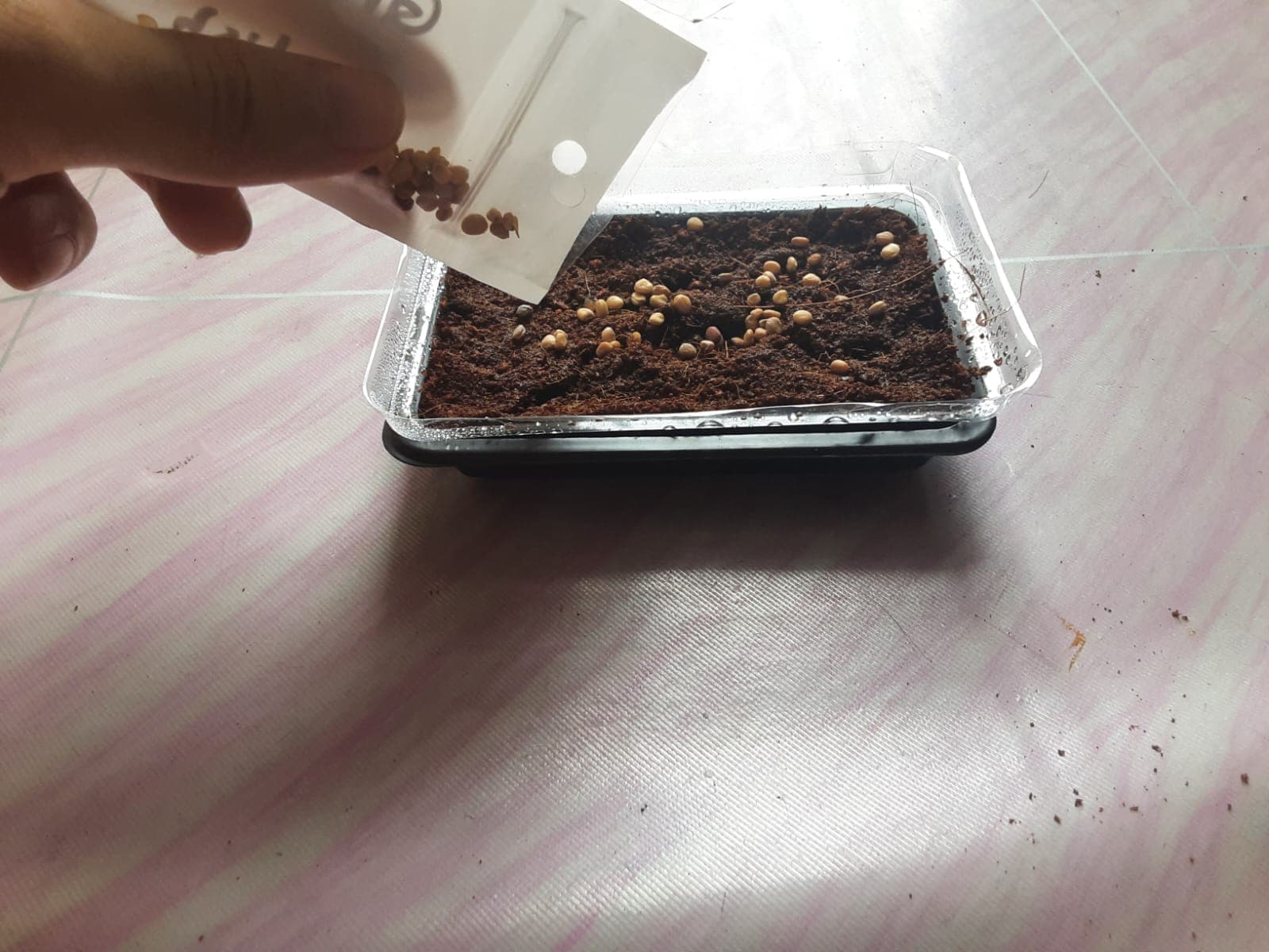 Taburkan Benih - foto 1