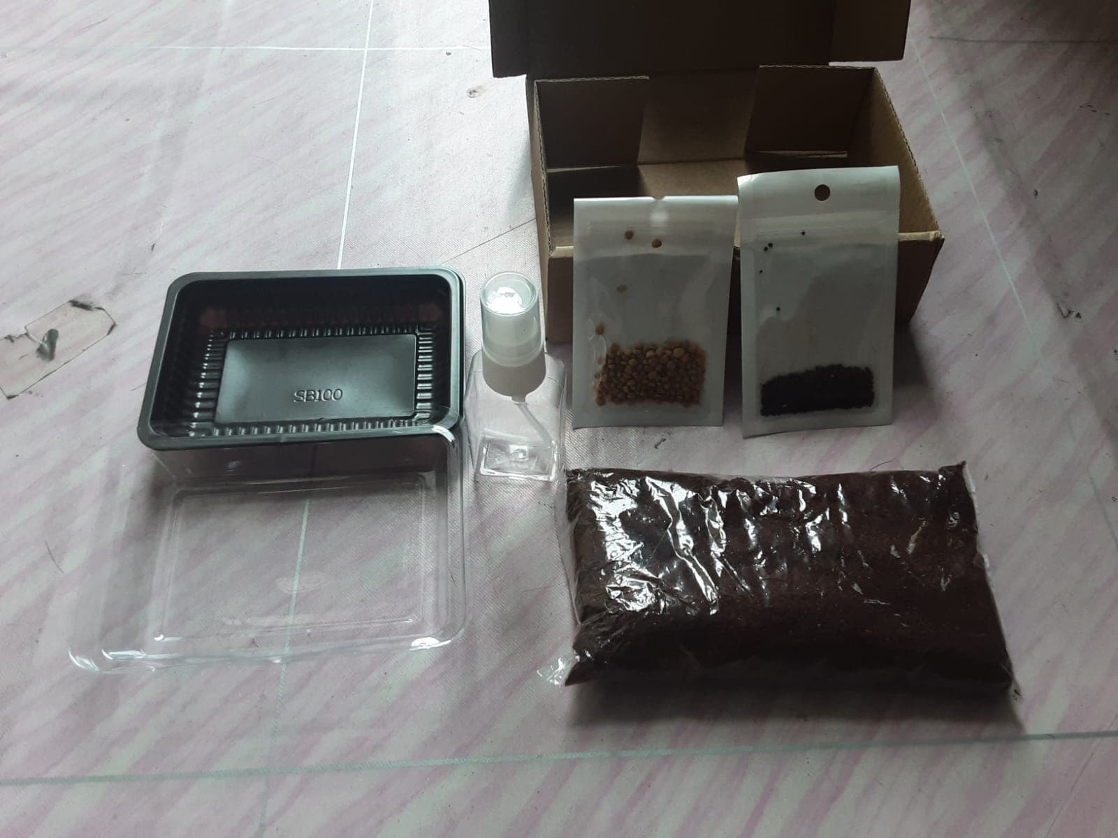 Panduan Menanam Microgreens